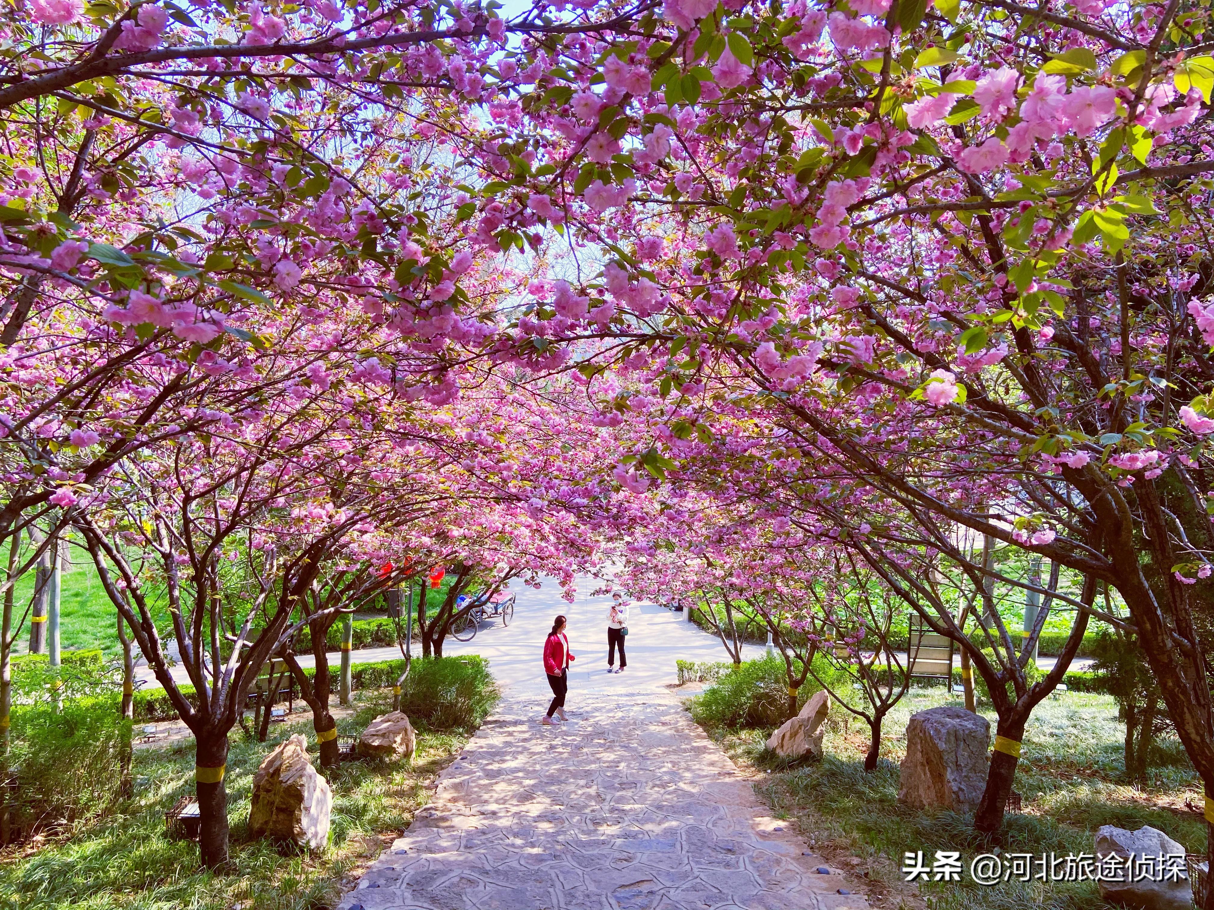 石家庄海山公园,石家庄鹿泉海山岭森林公园