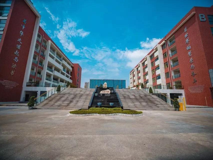 成都崛起有多猛,成都正在飞速发展