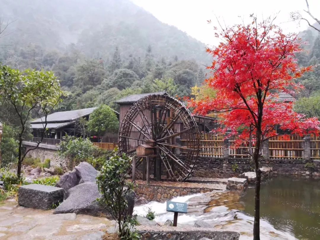 贺州姑婆南国仙山景区,贺州姑婆山景区旅游攻略