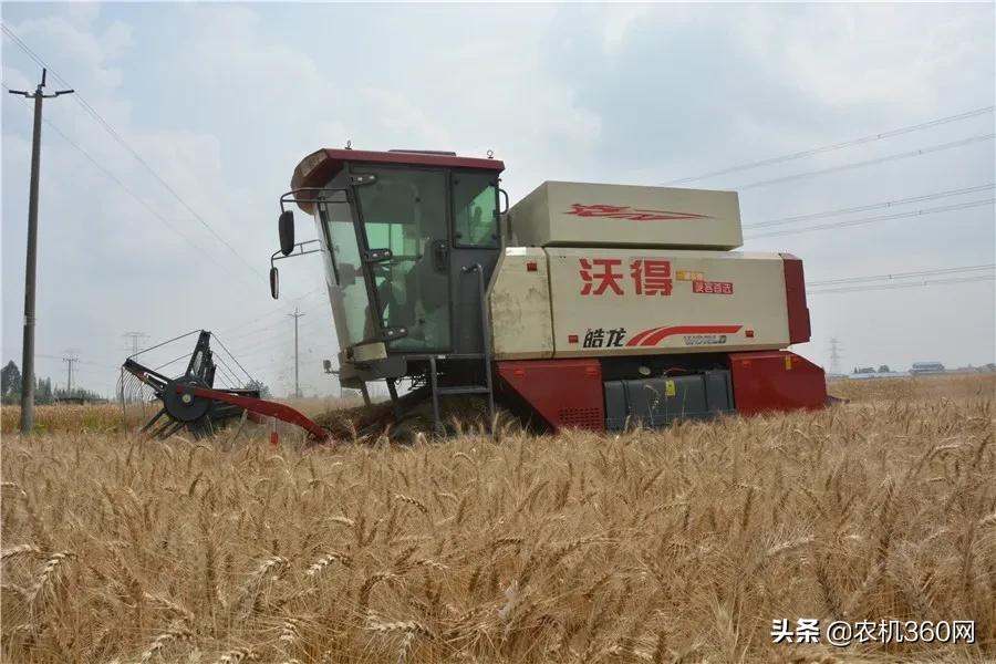 麦客首选,一机多用!沃得皓龙轮式纵轴流4LZ-8F型收获机闪耀上市