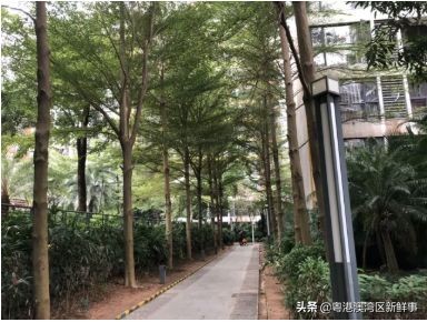 宀佹湀闈欏ソ澶氬Э澶氬僵,鑺辨牱骞村埆鏍峰煄娲嬫埧