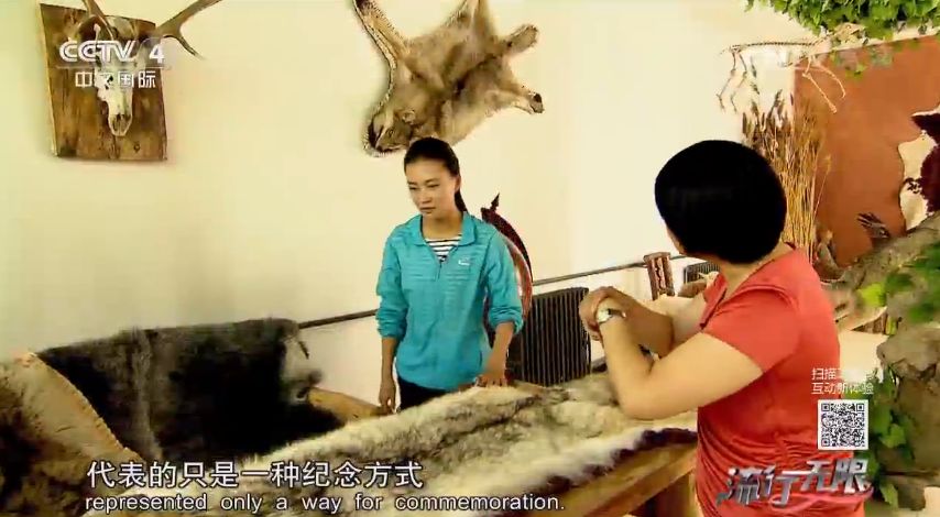 养狼20年养成二哈,养狼养二哈