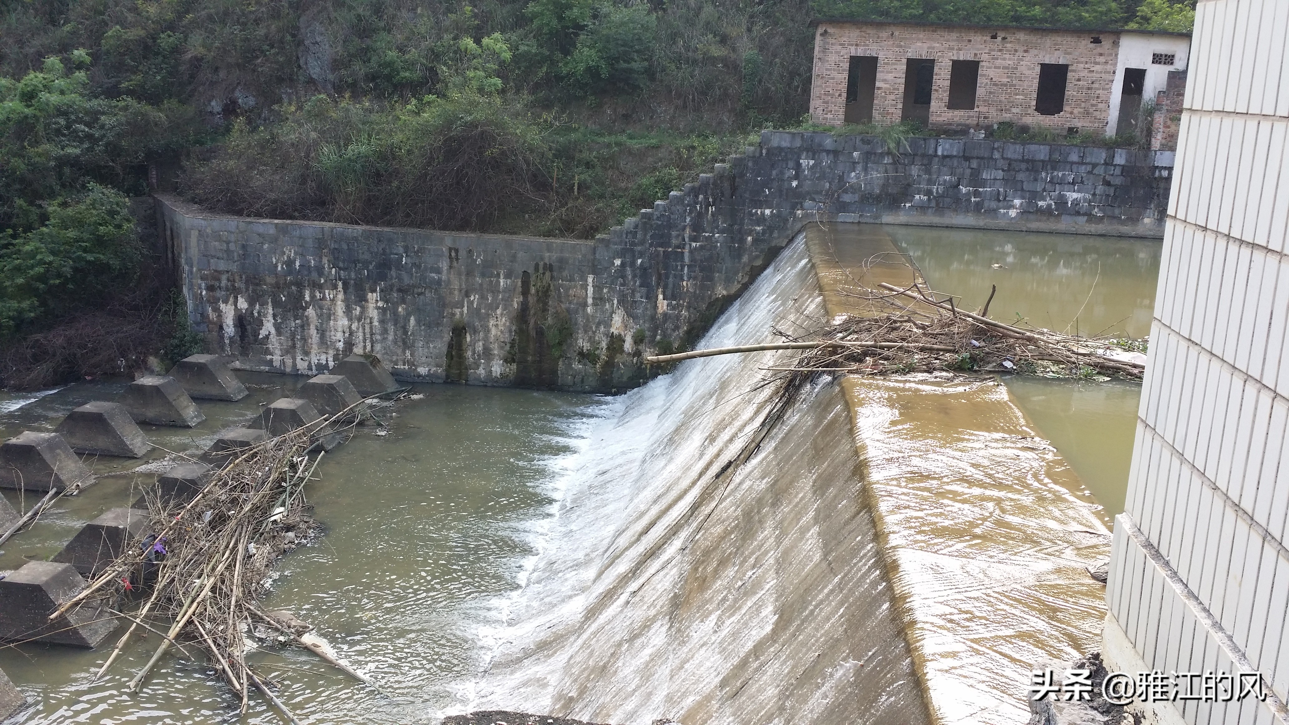 将军陂的故事----鸦桥江灌溉工程纪实（转）