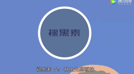 秋冬必备拯救好肌肤,秋冬肌肤保养两诀窍