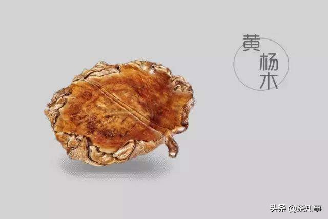 湿泡茶盘多大合适,湿茶盘分类及区别