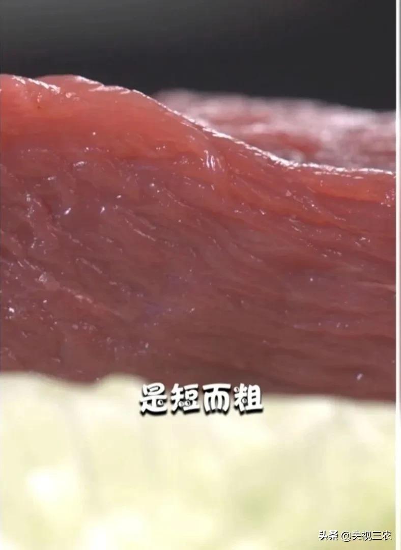 怎么辨别羊肉是山羊肉还是绵羊肉,羊肉是山羊肉好吃还是绵羊肉好吃