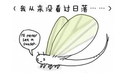 鳝鱼冷知识,冷知识第二季完整