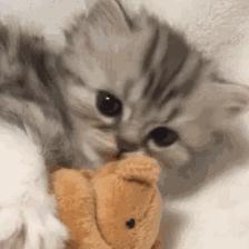 谷歌商店apk从哪里下载安全,谷歌商店apk插件下载