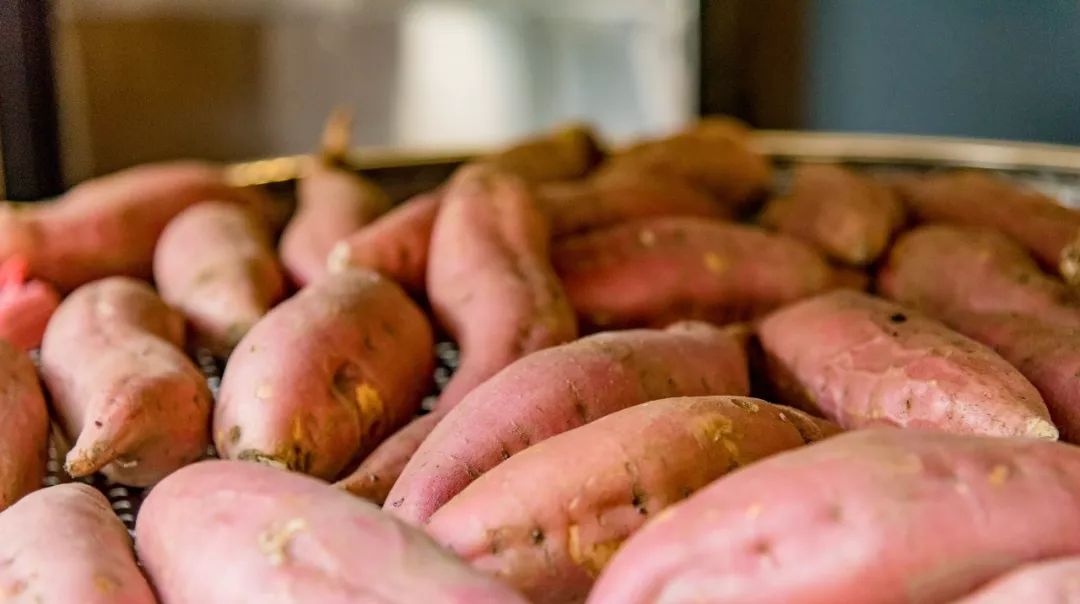Foodie君亲测,专注19年现炒栗子的粒上皇,名不虚传!