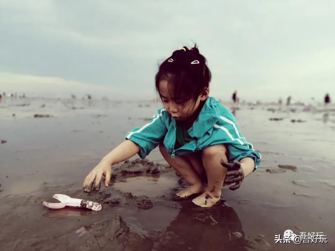 遛娃|南汇新城海滩，魔都夏日必打卡？