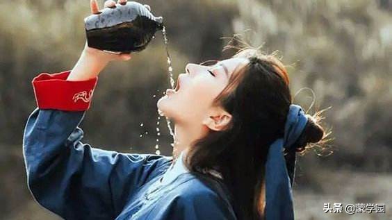 饮酒古诗二十首,饮酒诗百篇