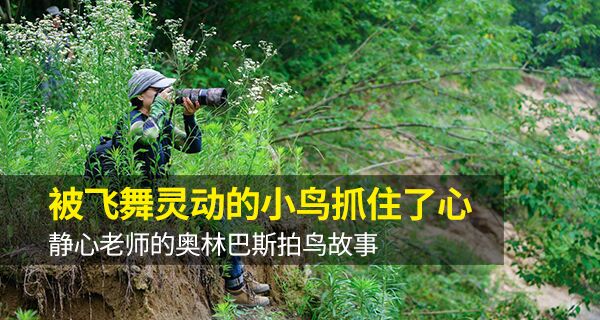 被飞舞灵动的小鸟抓住了心静心老师的奥林巴斯拍鸟故事