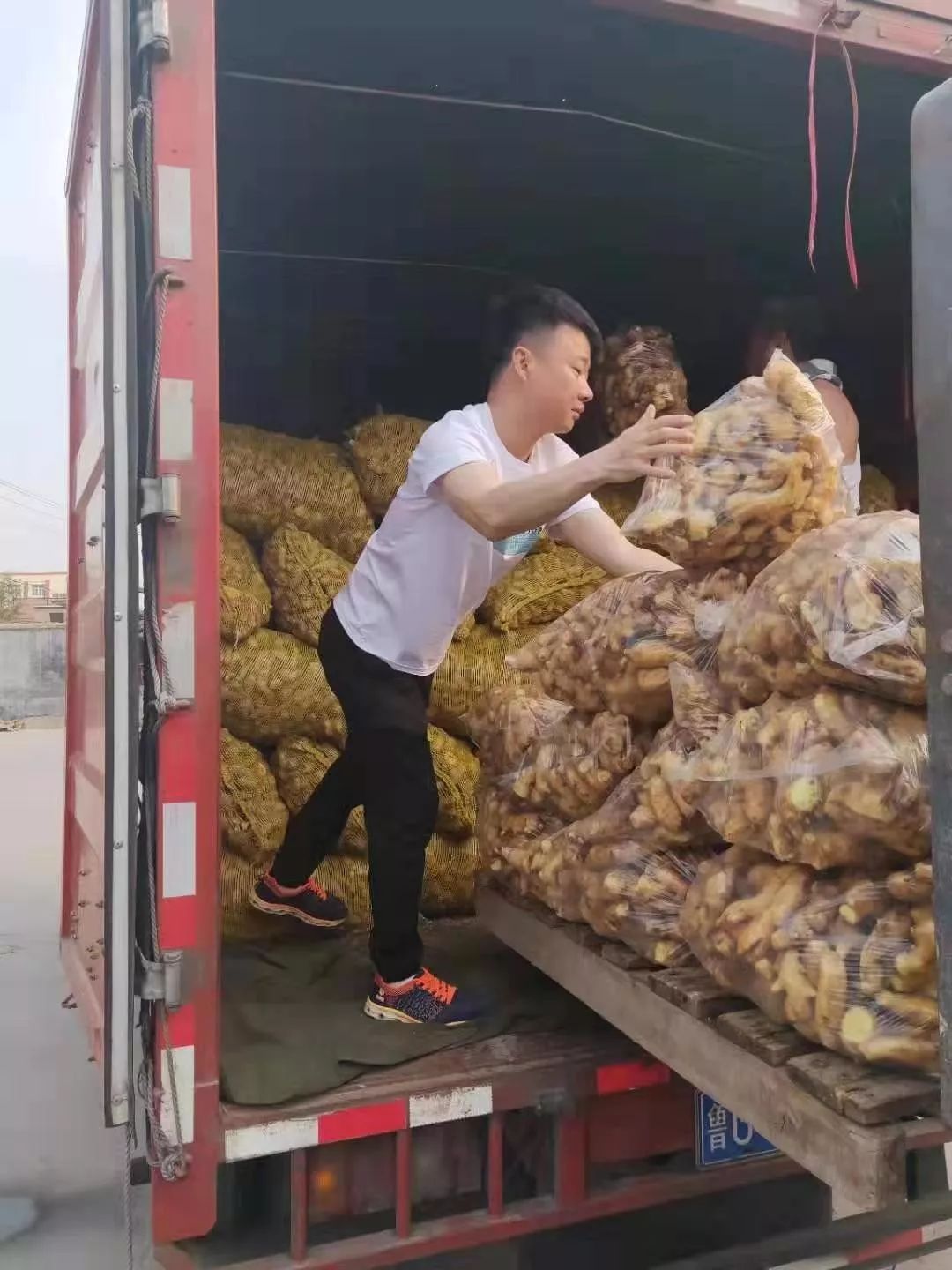 美菜团队,美菜现在咋样