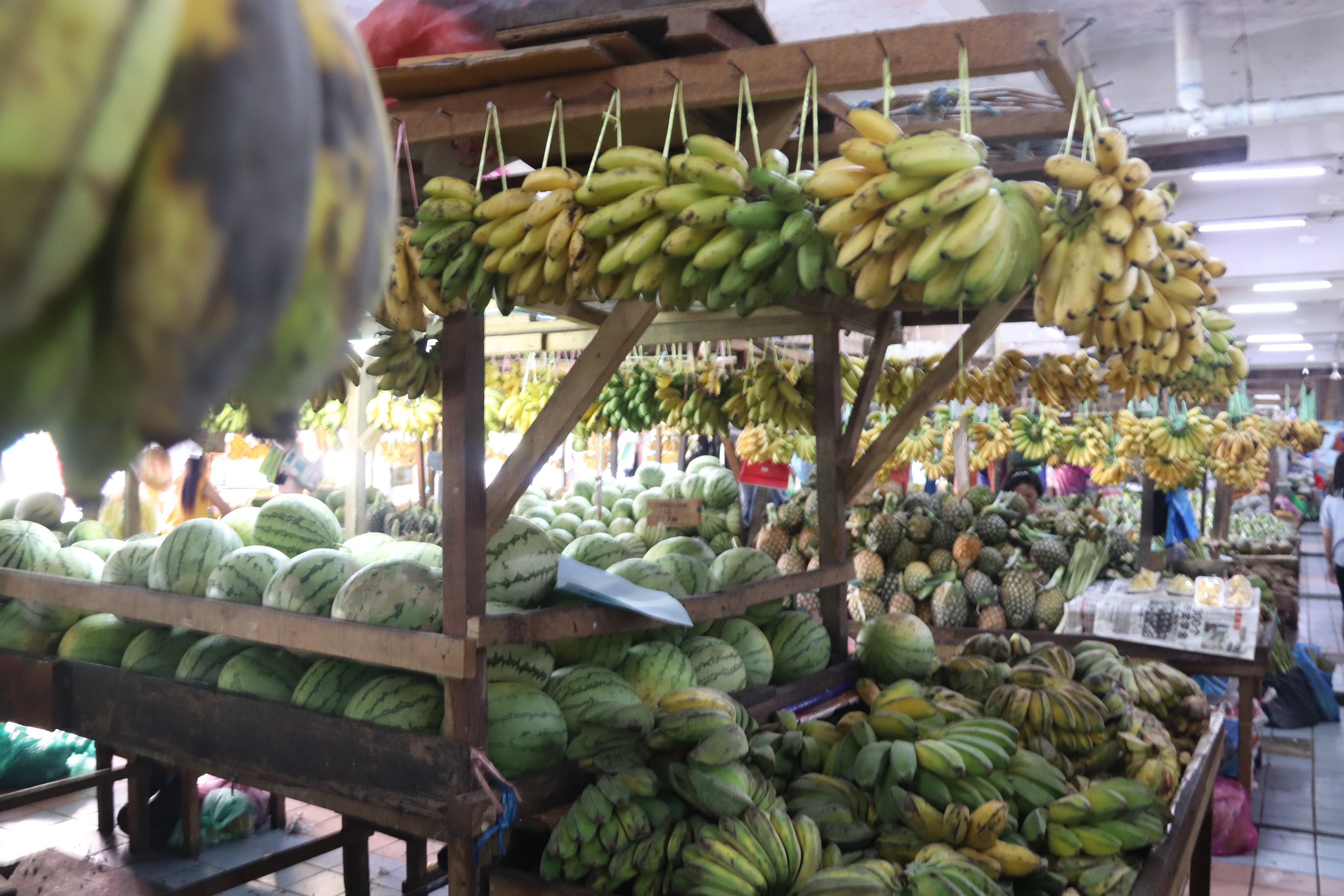 2018马来西亚之旅留影,2019回眸