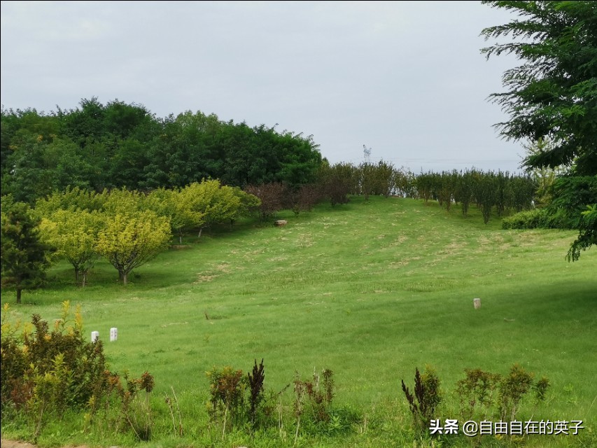 南海子湿地公园攻略,南海子湿地公园分布图
