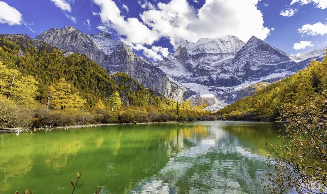 在最美的季节去了呼伦贝尔,一次浪漫的旅行呼伦贝尔