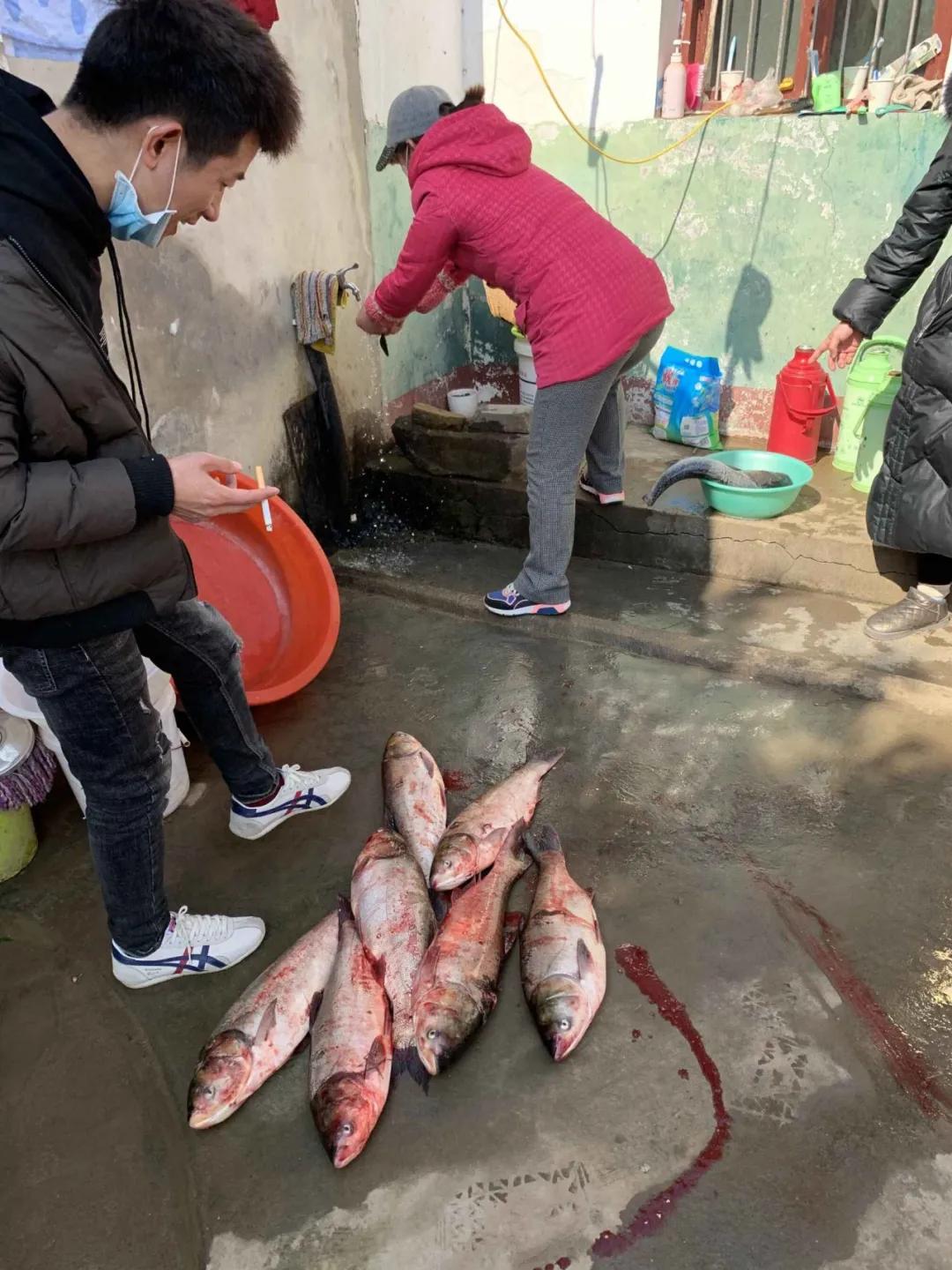 17口人吃了500斤大米被困,四川18口人一天吃多少