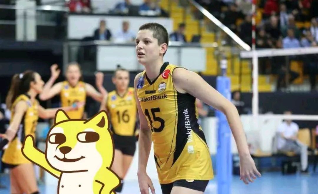 朱婷失利,朱婷输球原因