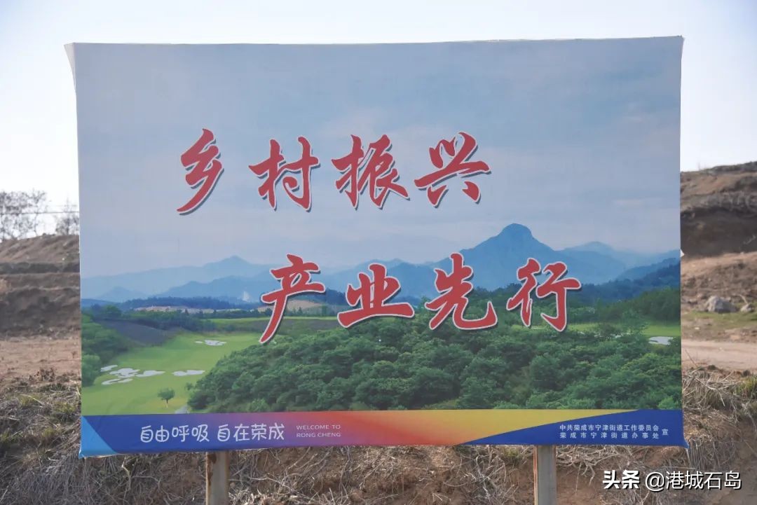 石岛即将开发的项目,石岛的项目