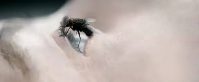 2019纭洏鎺ㄨ崘,2019纭洏鎺ㄨ崘1t