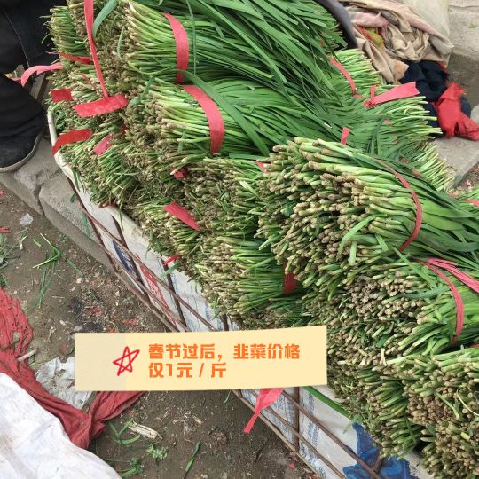 青菜卖1000可以赚多少,市场卖青菜一年赚多少钱