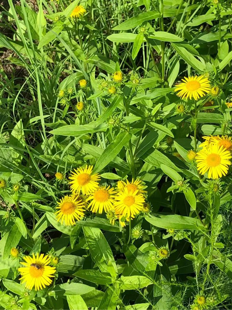 （原创）遵化醉美健身休闲地——沙河