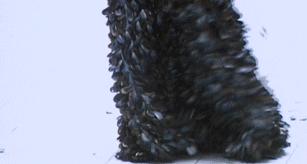 亚历山大麦昆织物包,亚历山大麦昆2017秋冬女装面料