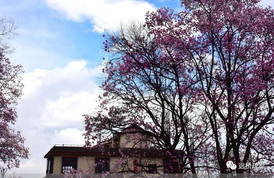 药王谷里觅旧迹（原图文）