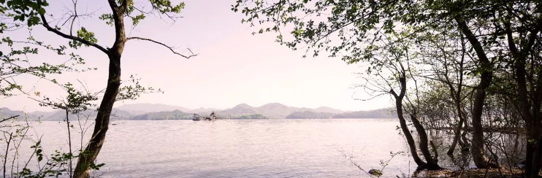 莫干山打卡圣地,莫干山王源