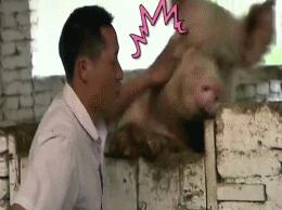 洗面奶选不好长痘用什么精华,洗面奶到底怎么选