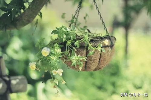 海子经典语录你说你很孤独,你说你很孤独海子原文