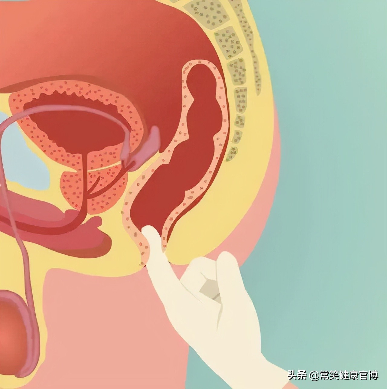 菊花有鲜红血是为什么,菊花有紫红色血