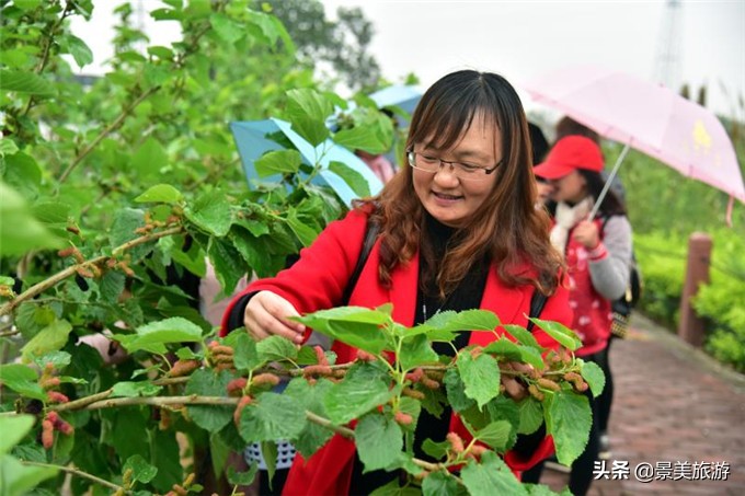 南海渔耕粤韵文化园,广东渔耕文化旅游园