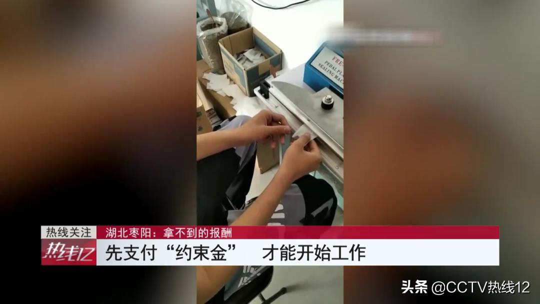 在家代工包装茶能月入过万?男子拖家带口干了一星期,仅收到100余元