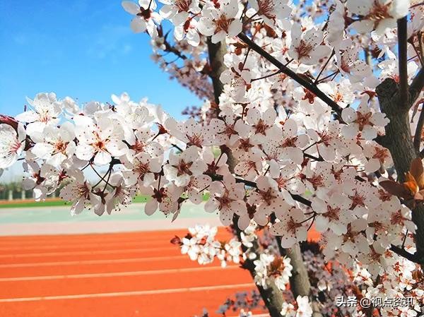 《名校风采》郑州市五十四中学：弦歌不辍五十载，上下求索奏华章