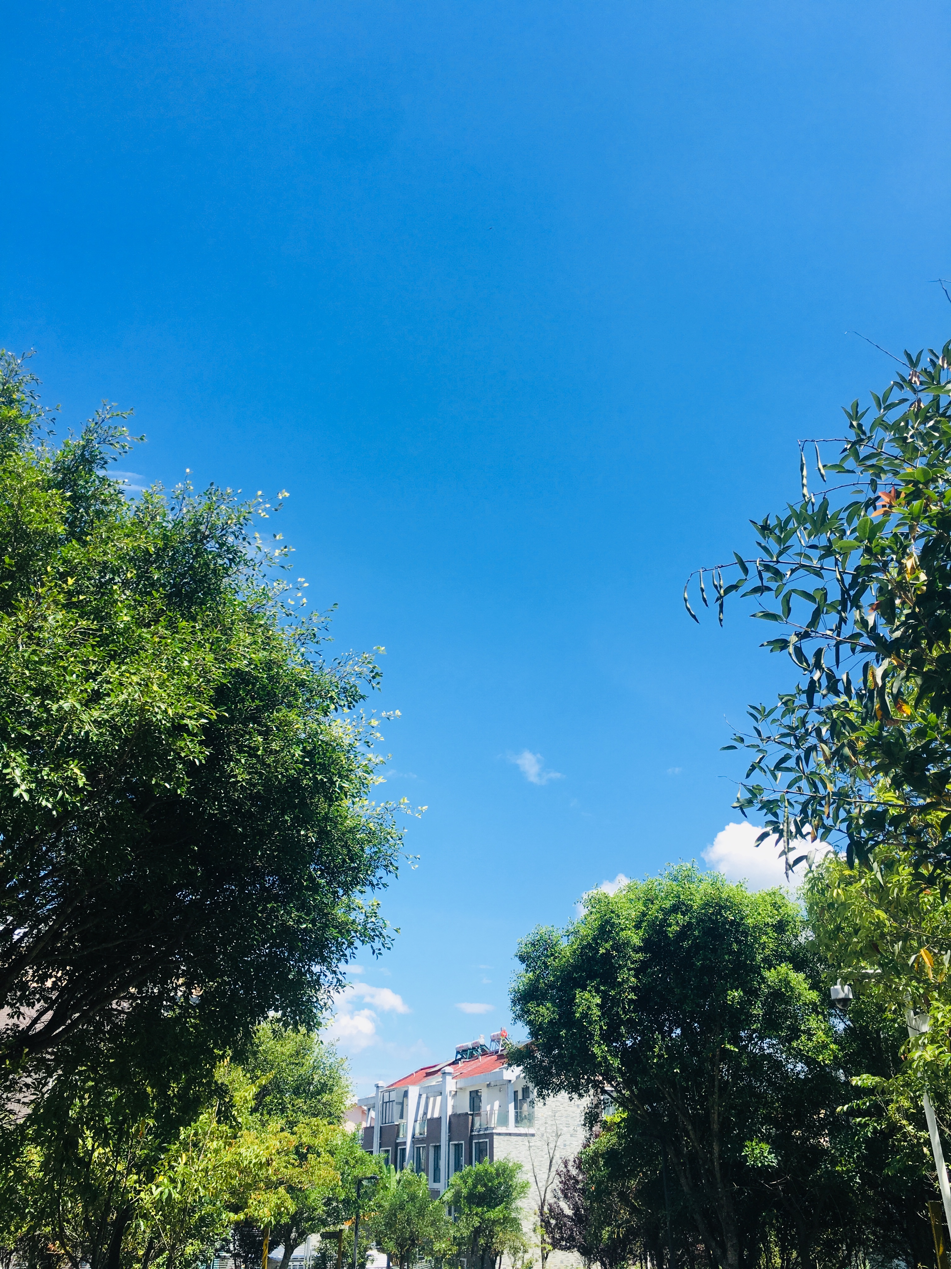 腾冲一个遥远而神秘的地方,中国最南边是腾冲吗