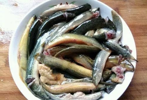 乌龟吃泥鳅用把泥鳅内脏处理吗,吃泥鳅用不用去内脏