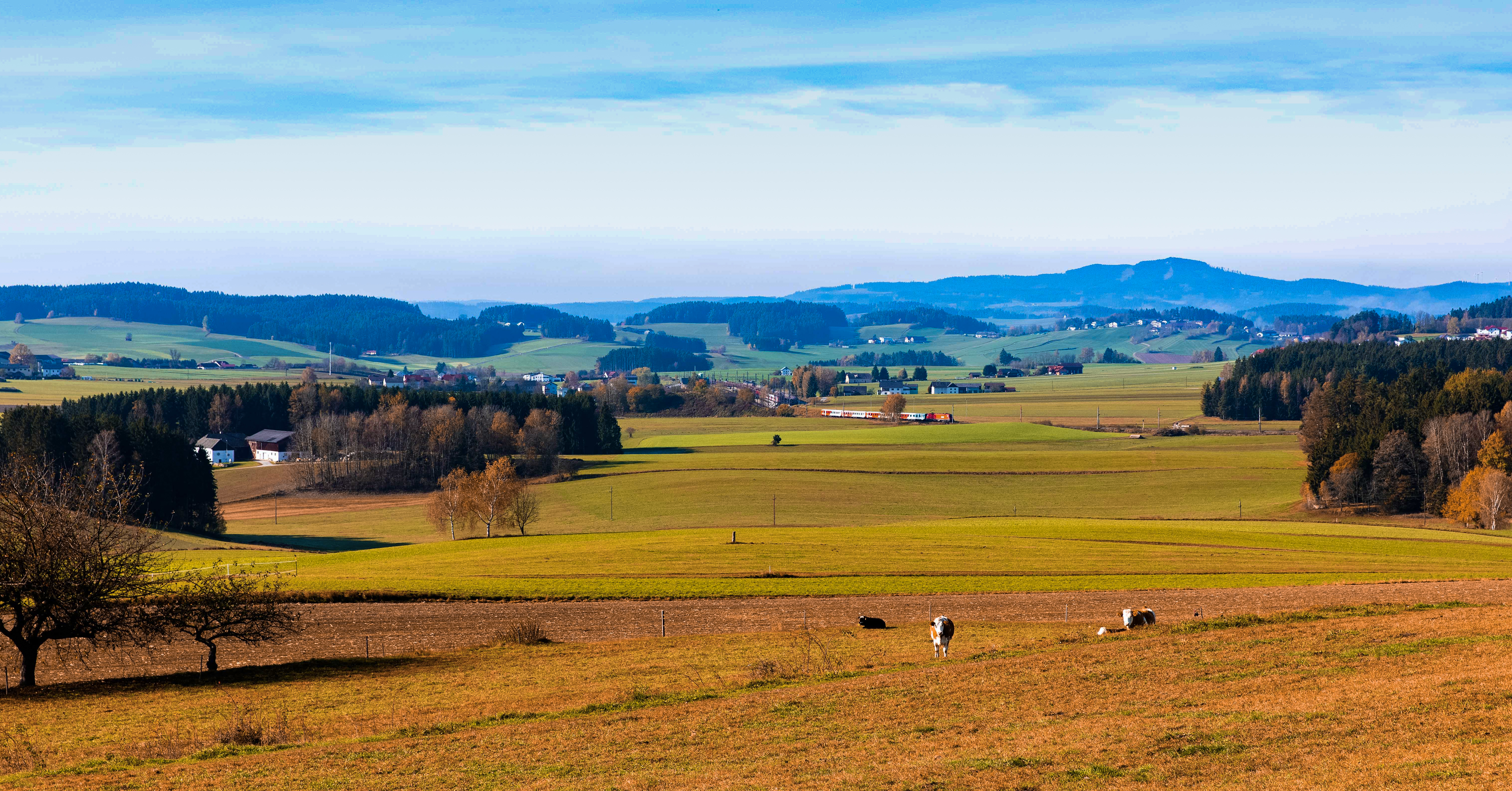 欧阳祥山词,欧阳祥山介绍