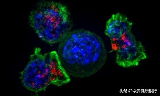 科学家如何利用新型抗体疗法治疗多种人类疾病？