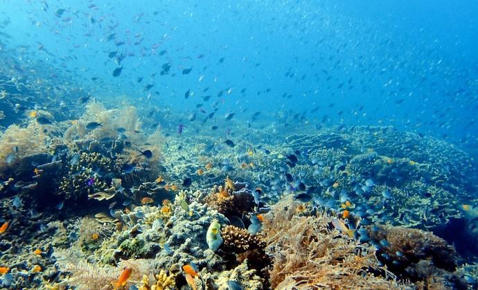 普通人不跟团去贵州玩要多少钱,去国外旅游不跟团可以吗