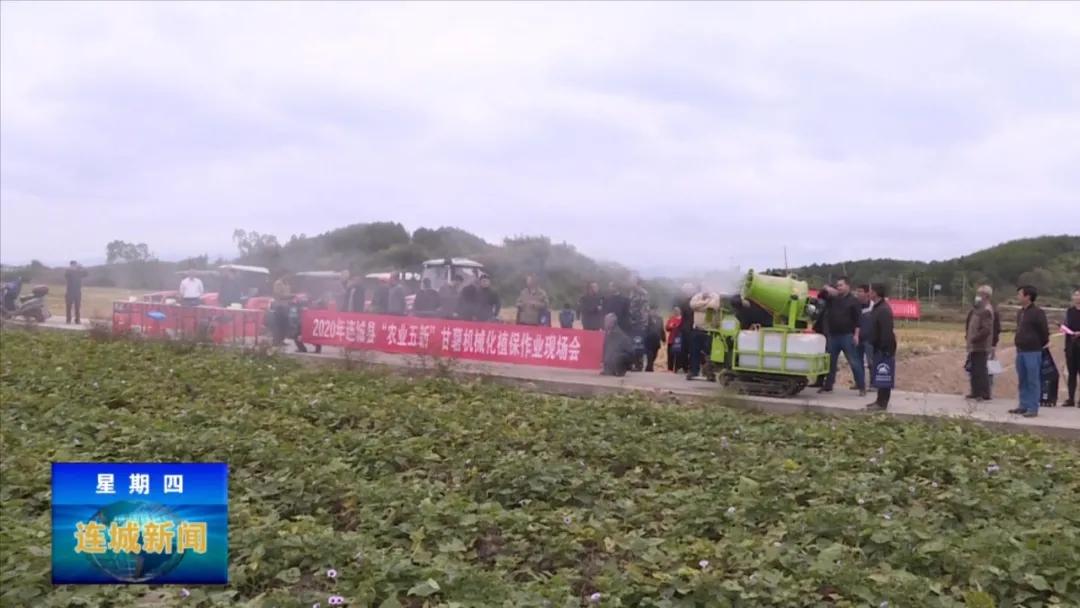 连城县举办甘薯机械化新机具示范推广现场会