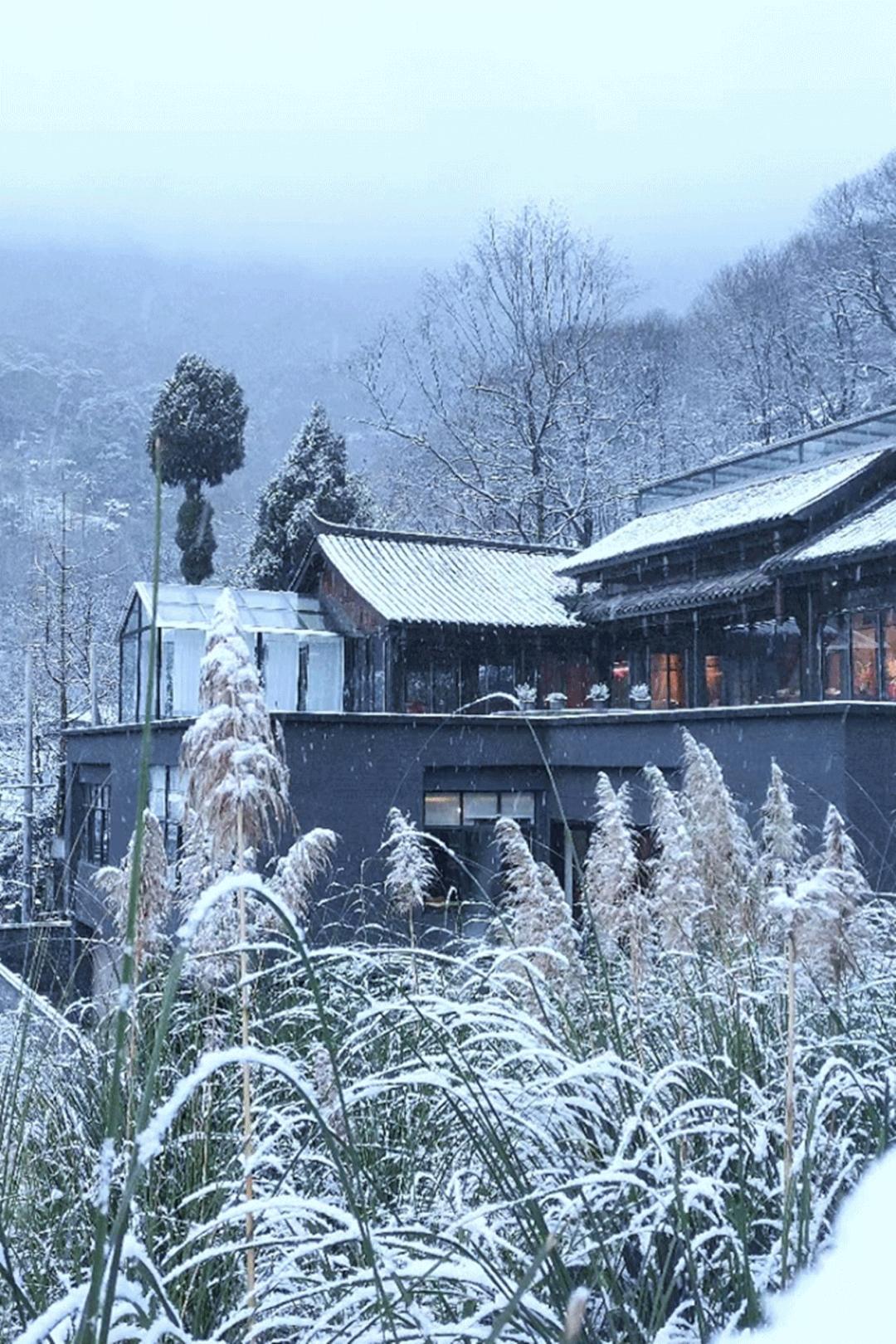 成都出发1.5h,藏在青城后山网红轻奢度假民宿,丨桐去隐泉