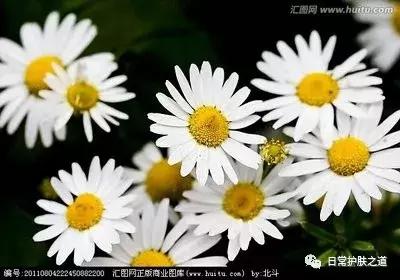 这5个方法让你轻松搞定红血丝,5分钟教你去除红血丝的小方法