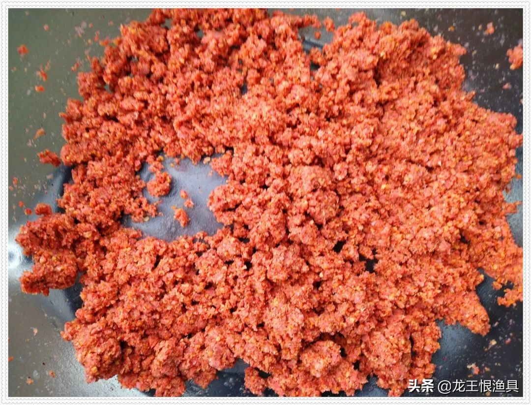 天鲫腥香评测,天鲫通杀钓鲫鱼