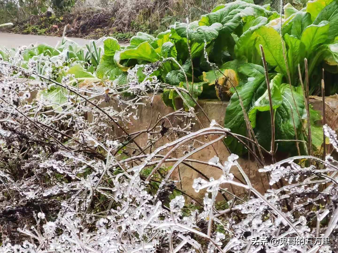 鬼哥的五万里D118骑记：云南，未来可期,泸西县-罗平县