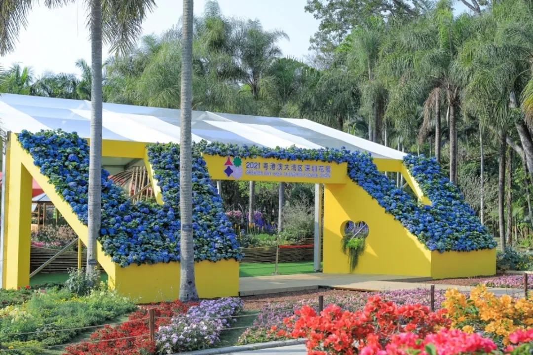 这个花展上的新优品种，为什么这么美？