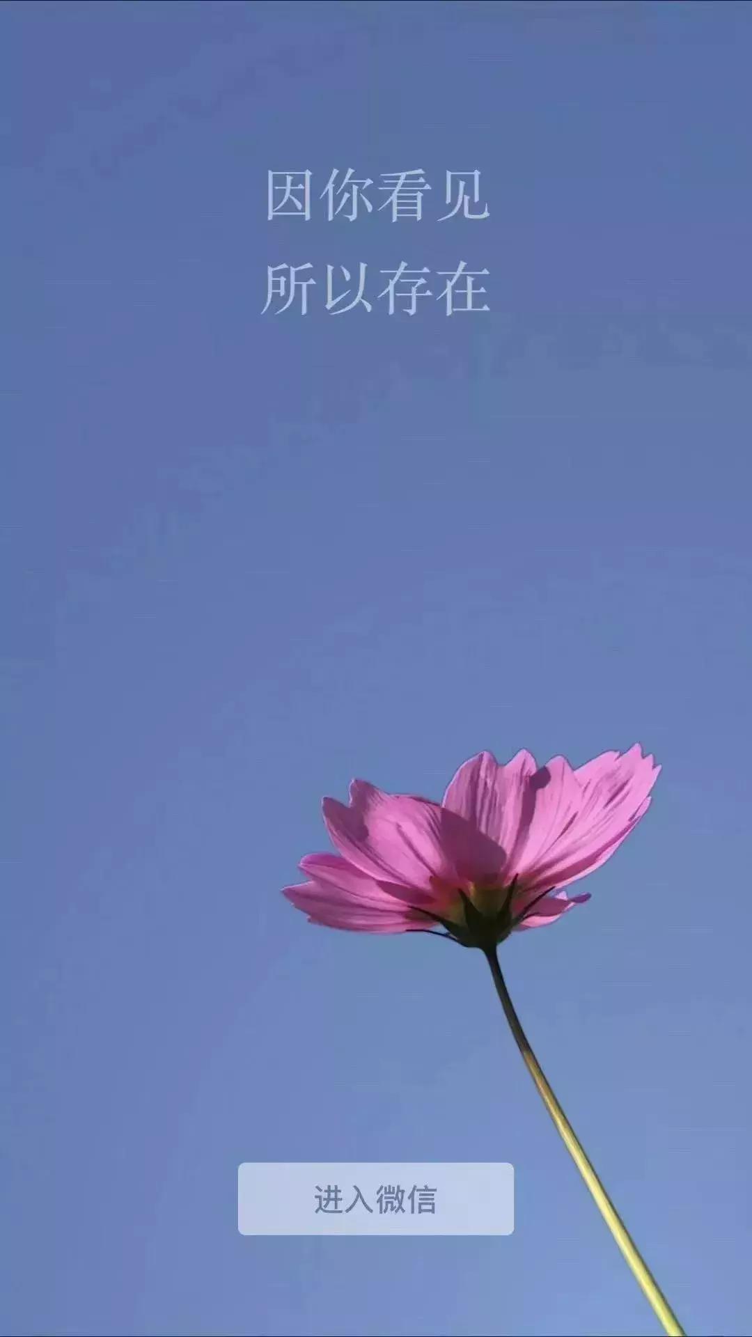 我的天,微信居然上线了“知乎”和“抖音”