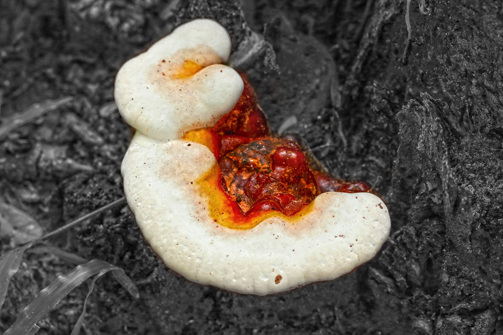 失眠焦虑多半是心理问题，学会这四个方法应对，睡眠自然回归