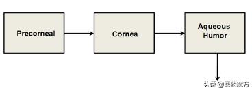 生物分析专栏|眼科用药的药代动力学和生物分析