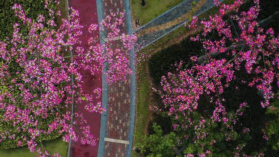 珠海买房过冬真实感受,在珠海买房十大秘诀